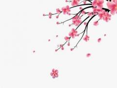 2024年結婚有什么說法 2024年適合結婚的屬相有哪些