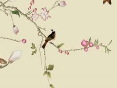 算命能算出有沒有孩子嗎 算命能算出來有幾個孩子嗎