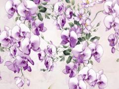 屬龍八個出生日富貴,屬龍出生日命運最好