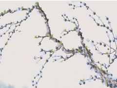 1983年出生的是什么命 1983年出生是什么命女