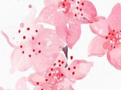 正面是猴反面正中有八卦 正面是八卦圖反面是12生肖