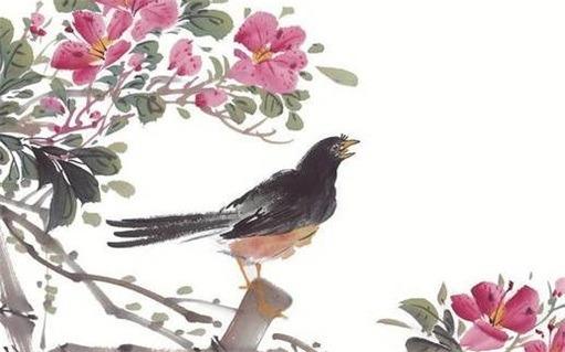 屬兔和屬鼠的人婚配如何,屬兔的和屬鼠的婚姻相配怎么樣