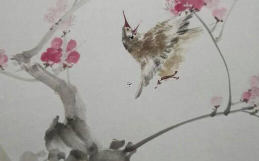 什么品種的蘭花耐暑寒呢 哪個(gè)品種的蘭花耐寒