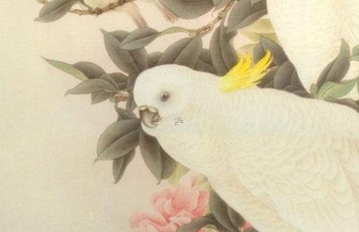 屬兔2023年60歲,屬兔的人在2023年的運勢是如何？