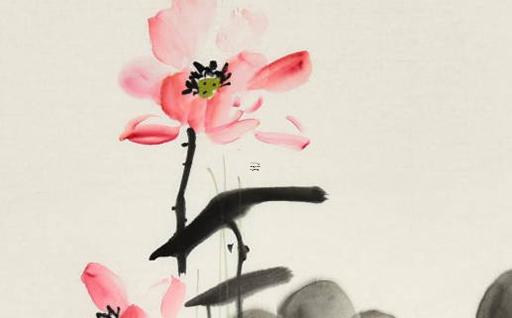 什么花適合臥室養殖還好養的 什么花可以養臥室