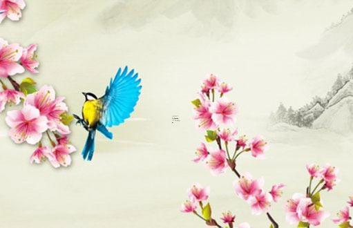 2024年本命年適合結婚嘛 2024年本命年生孩子