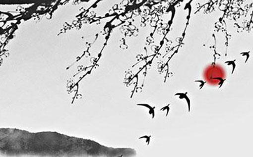 身體不會(huì)說(shuō)謊年齡大了 不會(huì)說(shuō)謊是什么原因