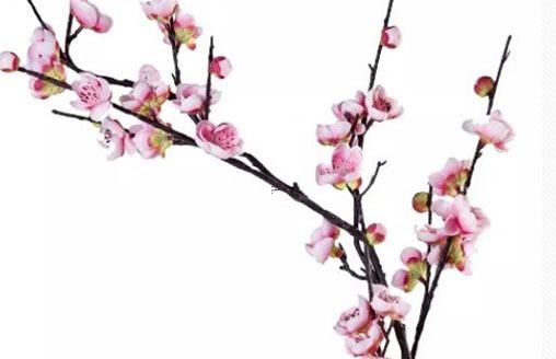 最新時(shí)尚的范姓女孩名字 范姓女孩漂亮有涵養(yǎng)的名字