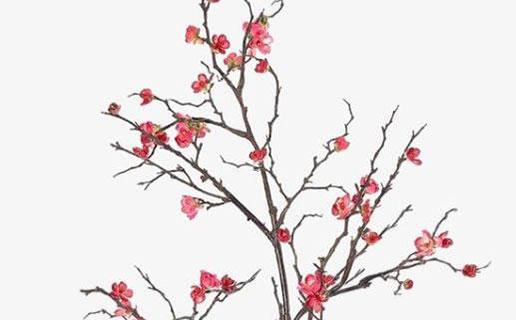 嬰兒起名姓楊并有含義 給娃兒取名字姓楊