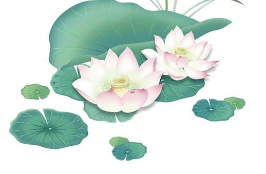 八字里的雙飛蝴蝶格是指什么 雙飛蝴蝶格命理 八字里的雙飛蝴蝶格是指什么 雙飛蝴蝶格命理