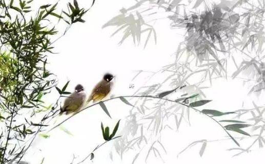 合八字說是歡喜冤家什么意思 歡喜冤家生肖組合