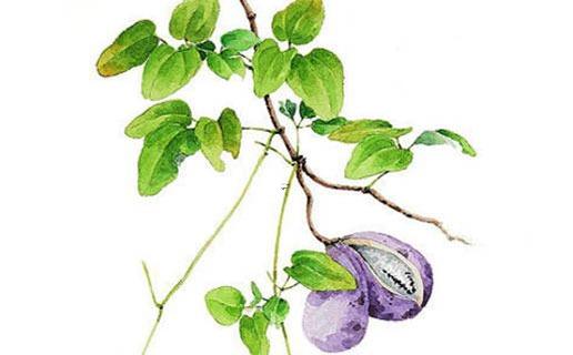 好聽的粉絲名字大全