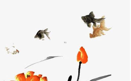 八卦圖片,乾、坎、艮、震、巽、離、坤、兌