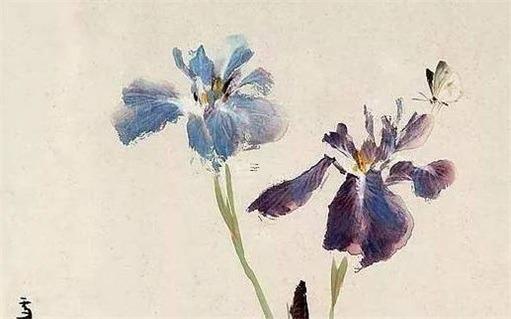 屬虎適合佩戴什么生肖 屬虎的最適合佩戴