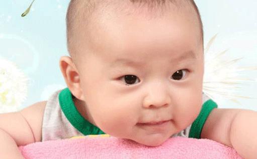 楊姓男孩取名大全2019屬豬 楊姓男孩取名大全2019屬豬