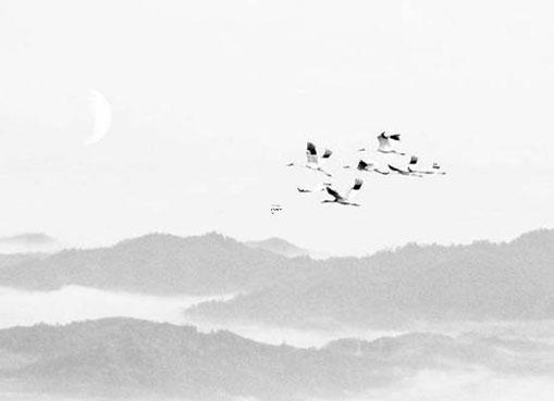 算命廣九什么意思 廣九念什么