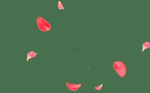 女命金水旺的四柱八字 女命金水旺是什么意思