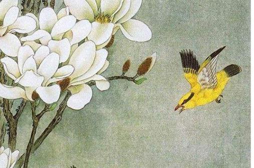 87年屬兔的一生桃花運怎樣 屬兔87年出生的今年有桃花運嗎？