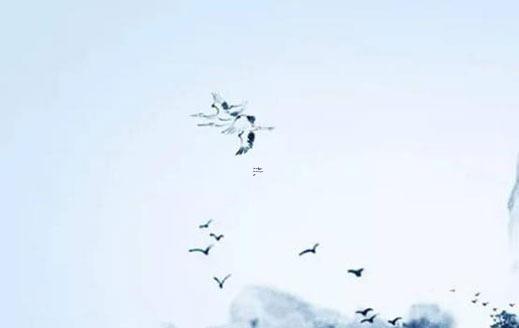 八字軟的人怎么辟邪,八字軟的女人家里放什么好
