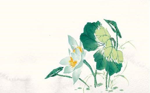 2019好聽的女生微博名字大全 好聽的女生微博網名