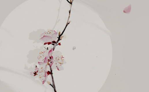 生辰八字里的ce是什么意思呀 生辰八字里的八字是什么