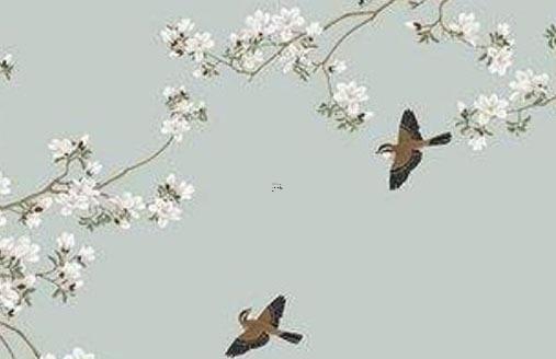 如何養(yǎng)殖發(fā)財樹 發(fā)財樹怎么培植