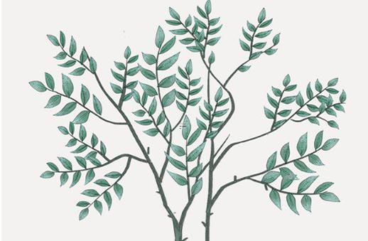 算命造命是什么意思 命造分析