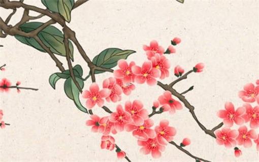 二婚才是正緣 二婚才是正緣的八字