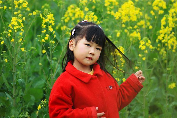 夢見很多屎是什么意思