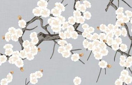 生肖虎農(nóng)歷幾月出生最好命運(yùn)女孩 虎女農(nóng)歷幾月出生命苦