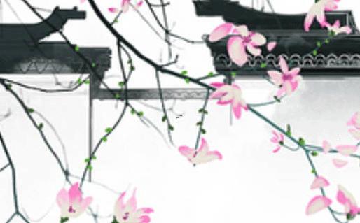 好聽(tīng)時(shí)尚的名字