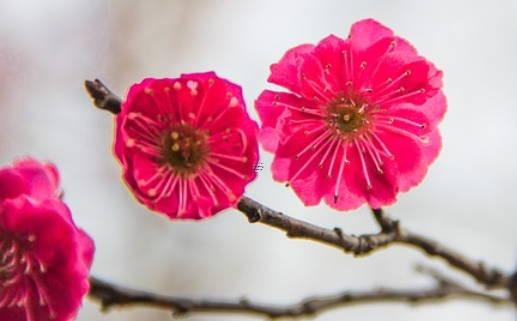 算命說心里雜念太多是什么意思呀 內(nèi)心有雜念的人的表現(xiàn)