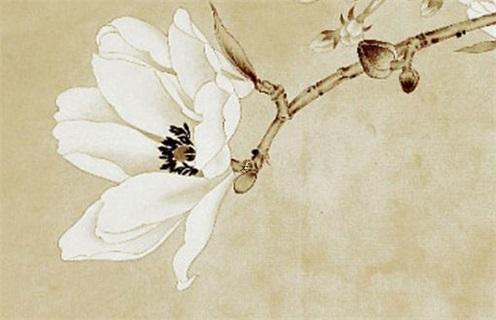 麻煩幫我解釋一下我的易經四柱 易經四柱八字解說