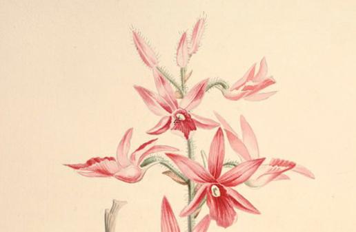 怎么樣看兩個人八字合不合 怎樣知道兩個人八字合不合