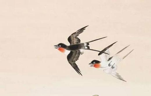 八字木心花是什么意思 木心花命