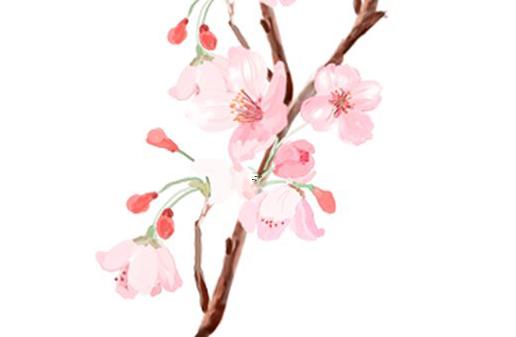 八字生乆取紅日是什么生肖 紅日藥業(yè)