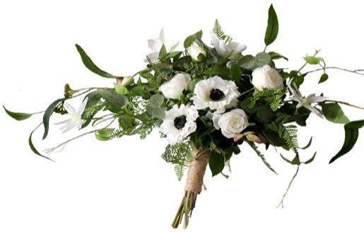 天狼星在哪個星座 天狼星在哪個星座