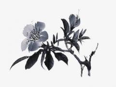 生辰八字絕什么意思 什么叫八字絕數