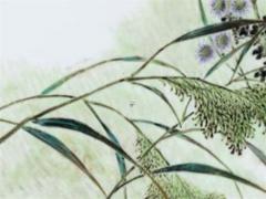 女人身上的三顆離婚痣 女人身上三顆福痣