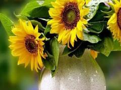 夢見手機丟了暗示著什么