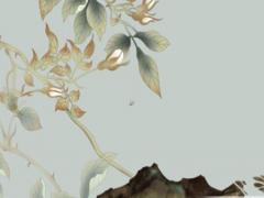 路虎女被燒成骷髏 路虎車燒死男女案