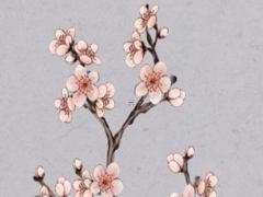 2023婚姻樹財富船測試免費 婚姻樹2023免費測試