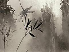八字缺什么怎么算,如何知道自己的五行屬性