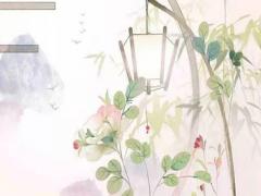 八字合婚生辰八字配對免費,八字合婚速查表,珍藏版