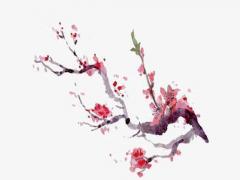 好聽帶熙字的名字