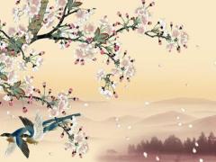 男女屬相都是豬可以結婚沒 男女都屬豬合適嗎