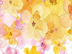 屬鼠的適合找什么的,屬鼠的找什么的婚姻最好的