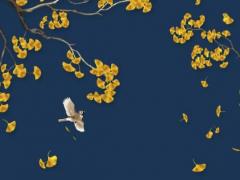 五行修神訣女主角是誰(shuí) 五行修神決女主