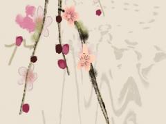 請給批以下此八字 八字能不能隨便給人看