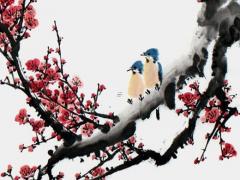 好聽獨特的二次元網名英文 二次元英文名字